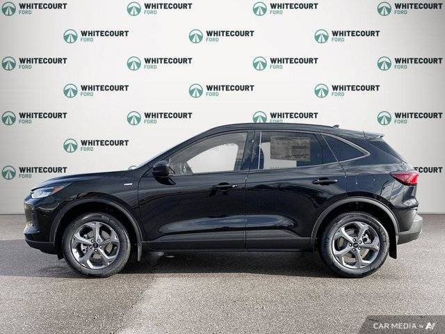 Image of Listing 46710