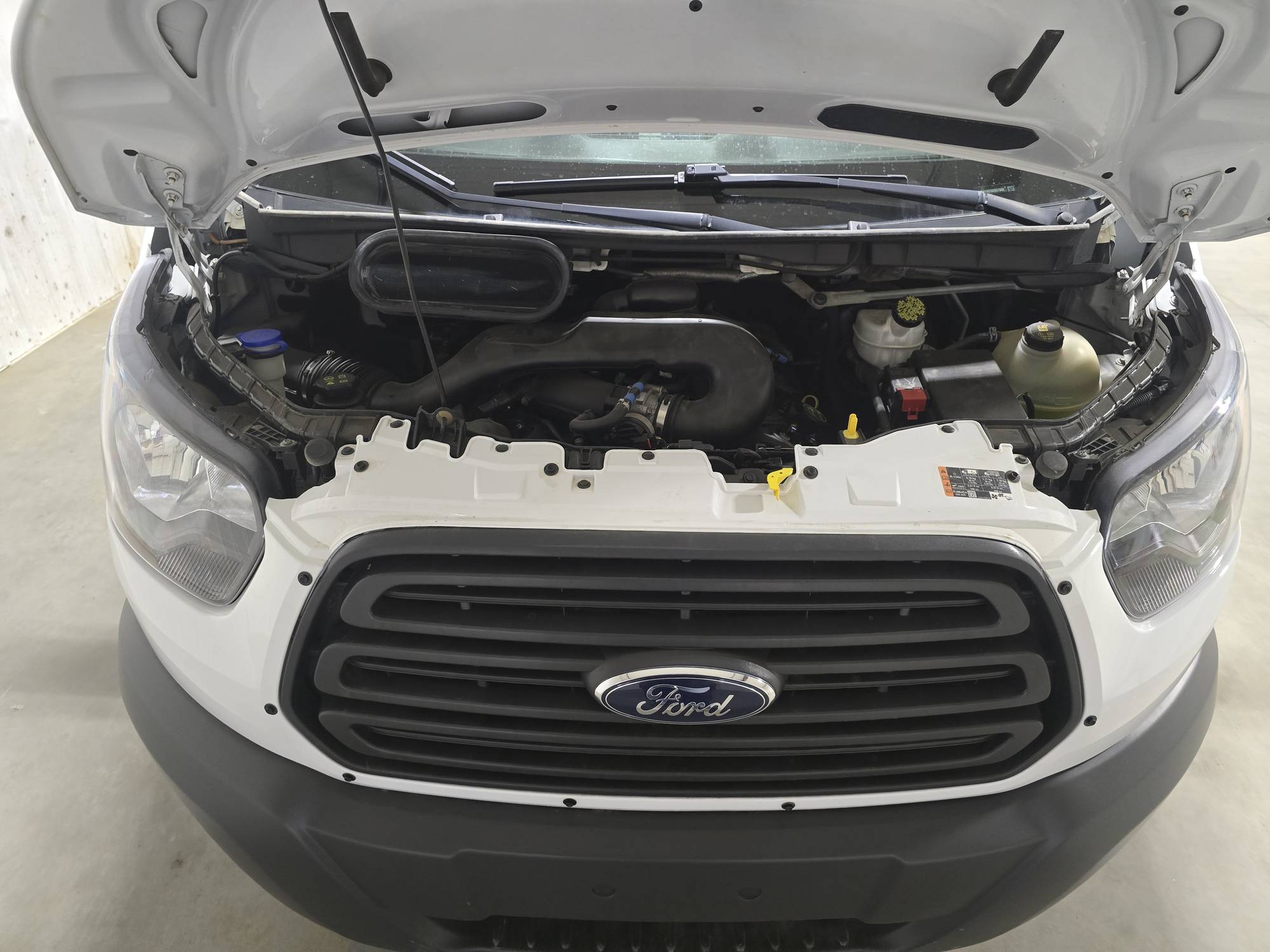 Image of Listing 48085