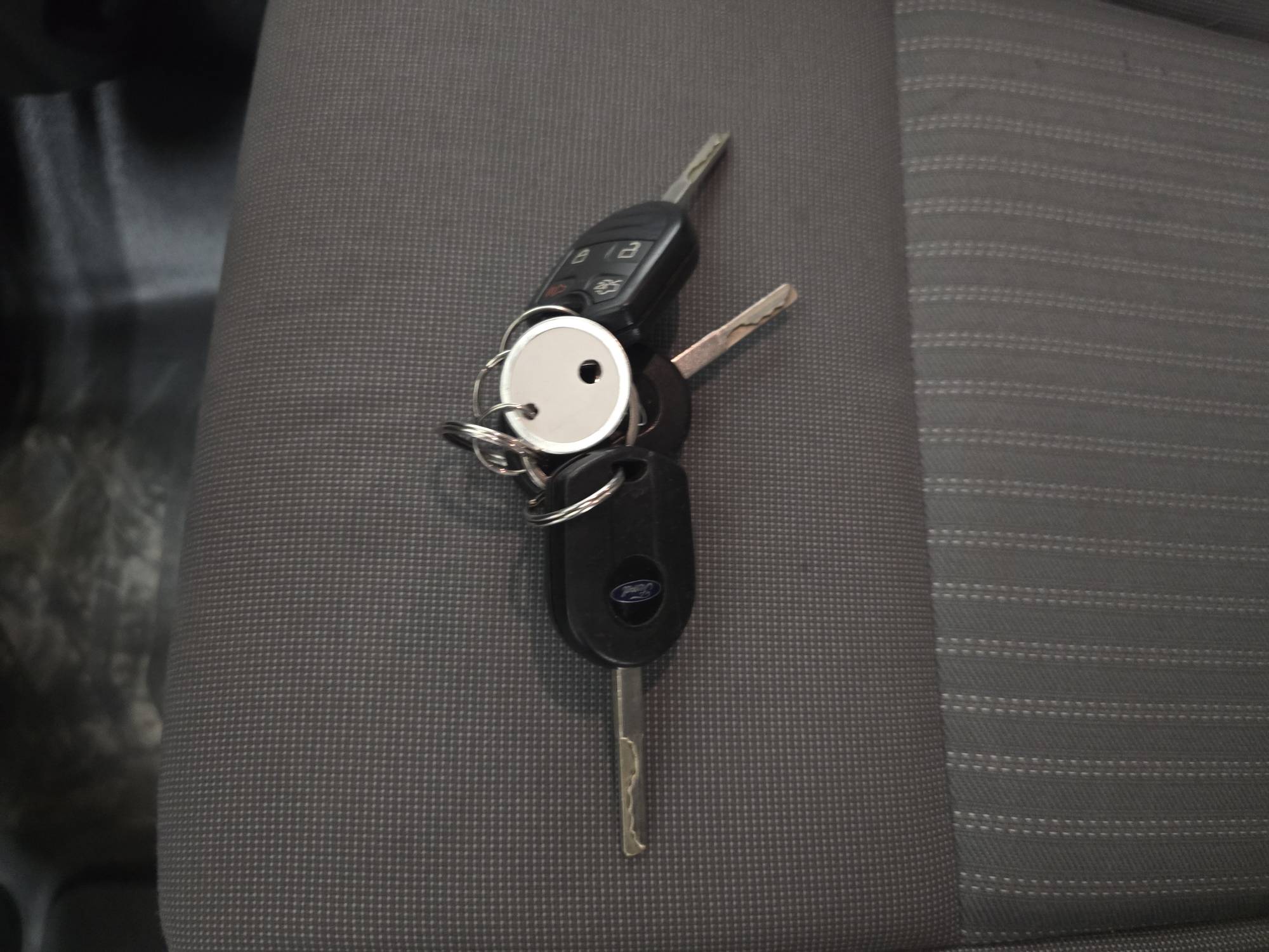 Image of Listing 48085