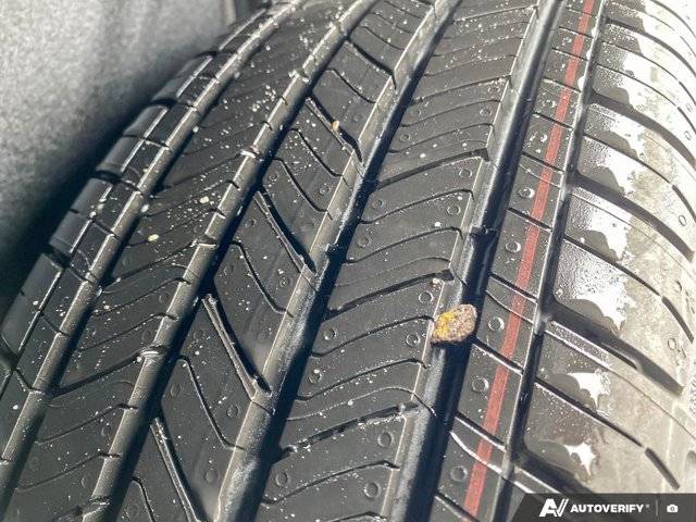 Image of Listing 48667