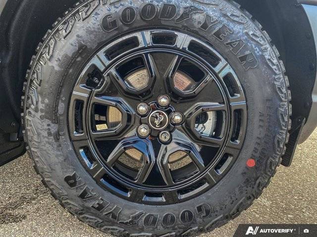 Image of Listing 49099