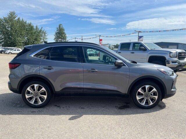 Image of Listing 49262