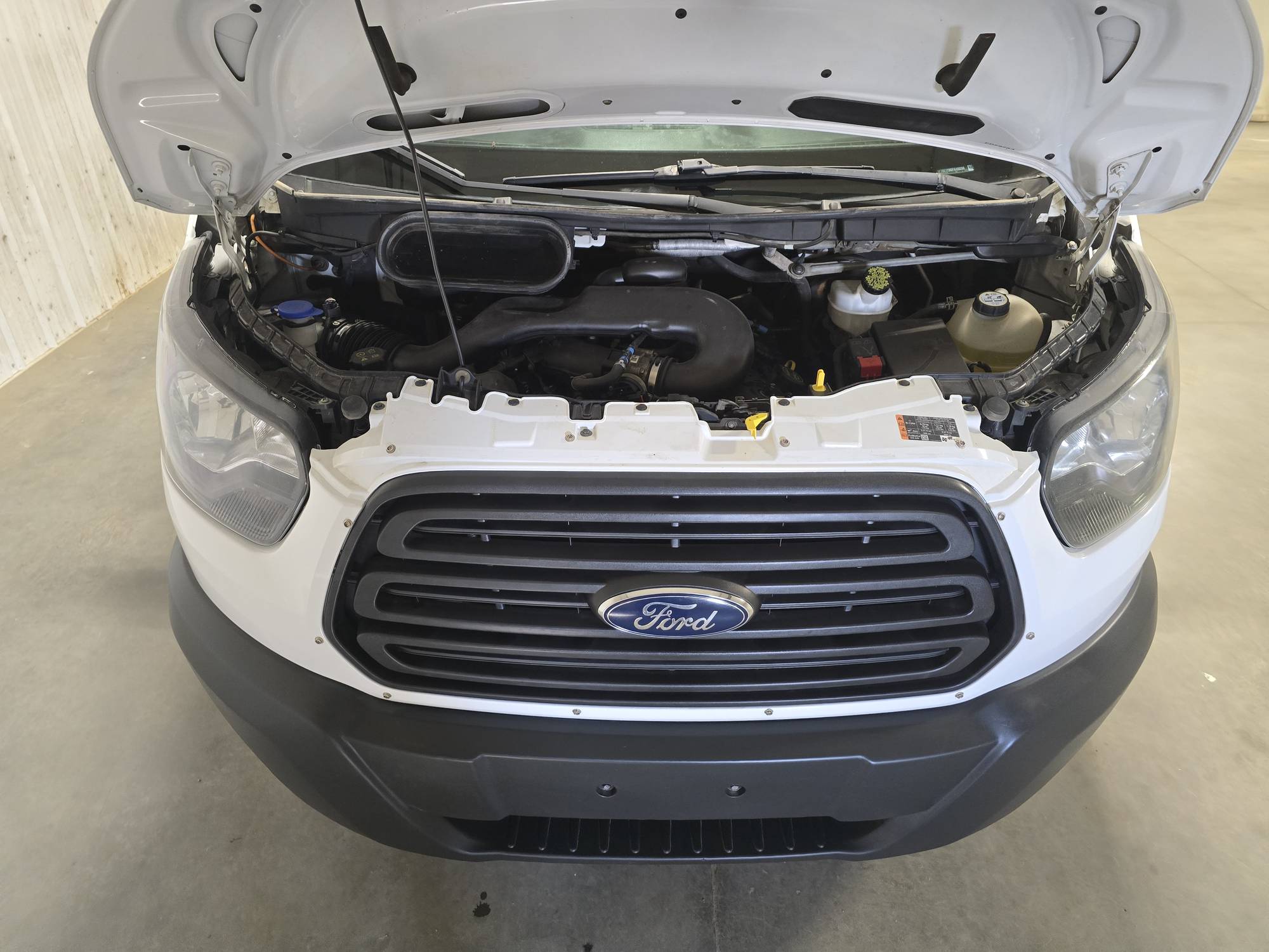 Image of Listing 48181