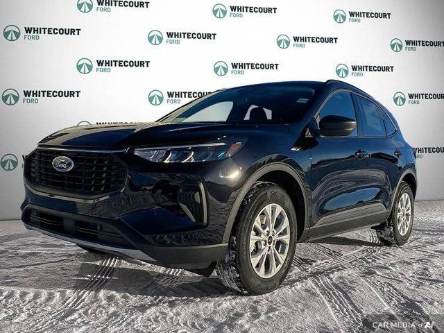 Primary image of listing 44408