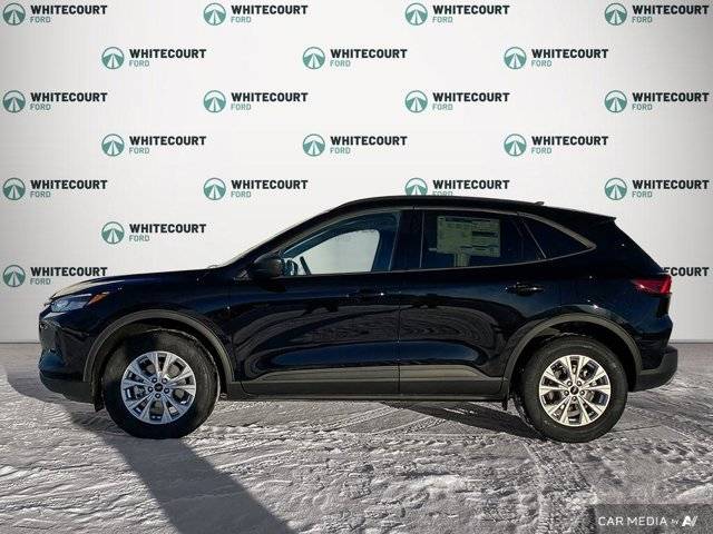 Image of Listing 44408