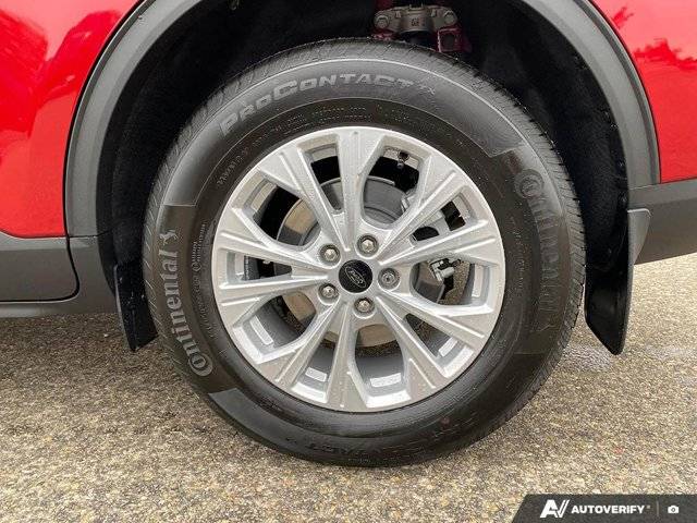 Image of Listing 48668