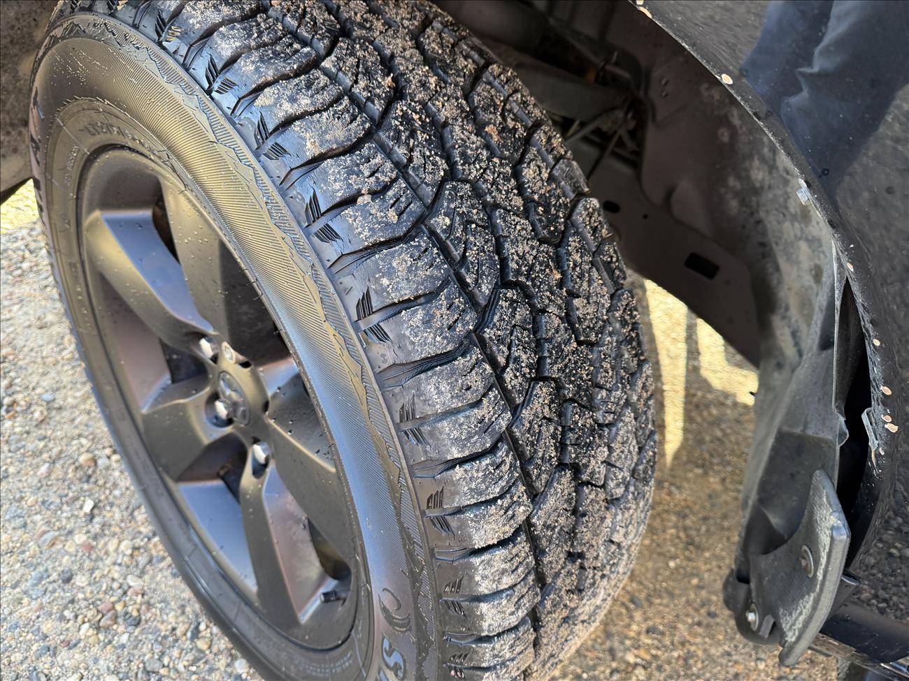 Image of Listing 49135