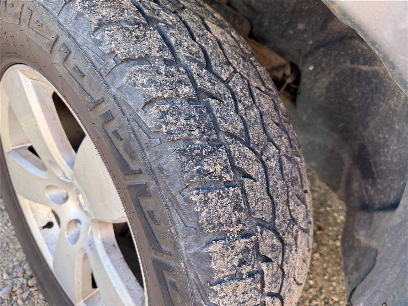 Image of Listing 49113