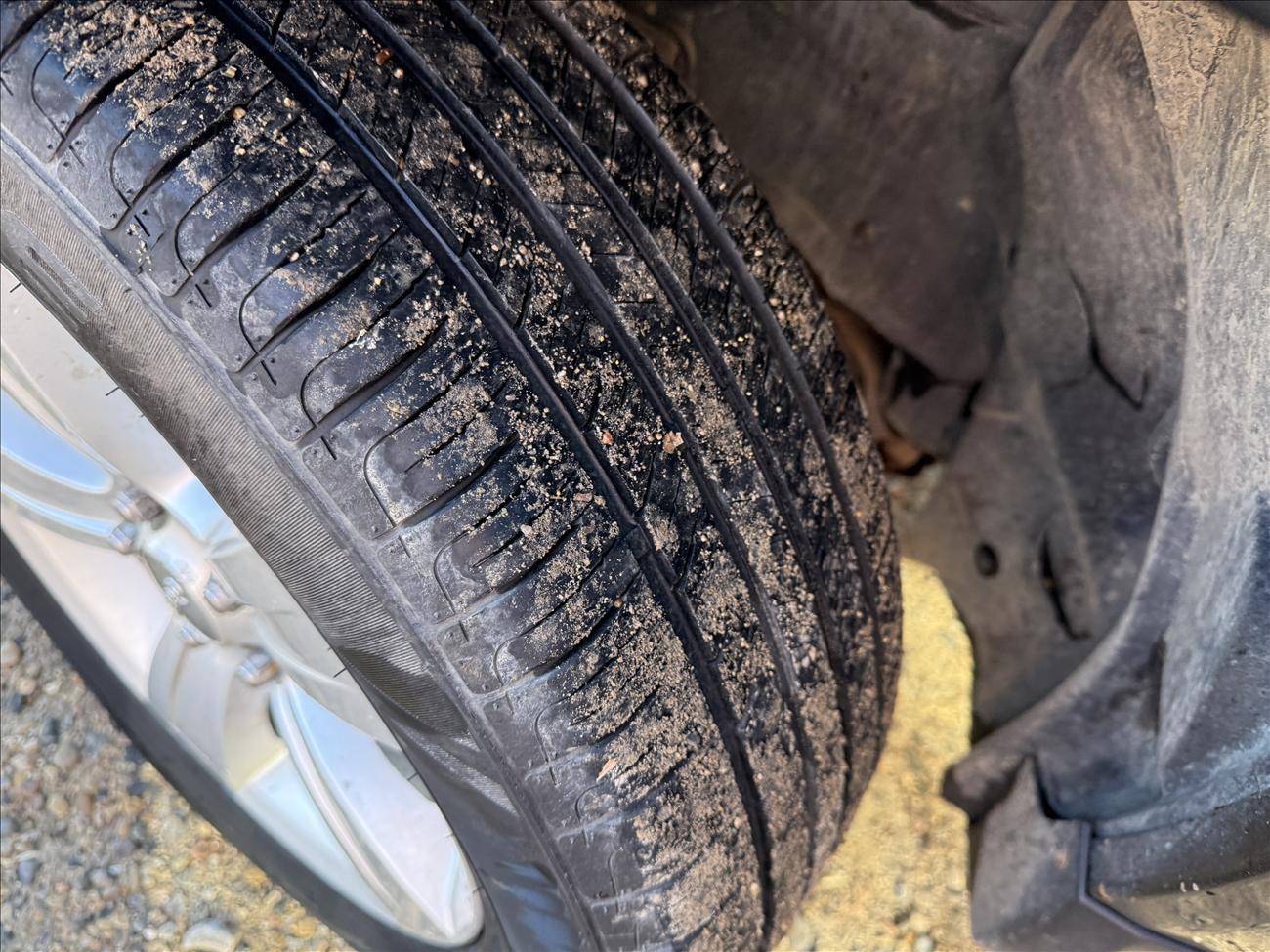 Image of Listing 49155