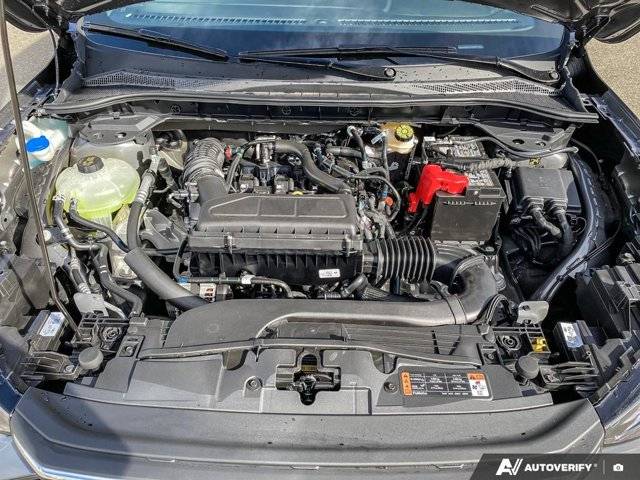 Image of Listing 48669