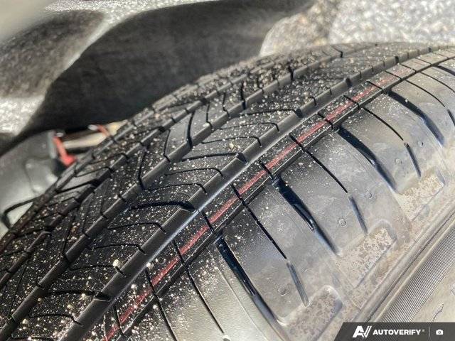 Image of Listing 48669