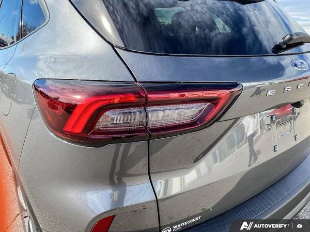 Image of Listing 48669