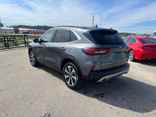 Image of Listing 49262