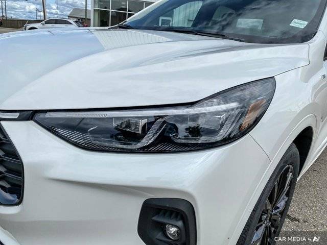 Image of Listing 46630