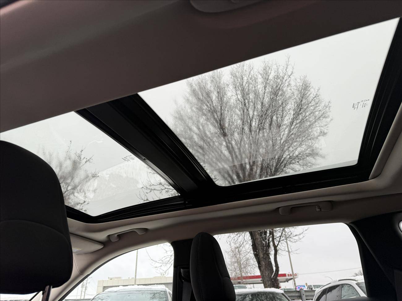 Image of Listing 49444