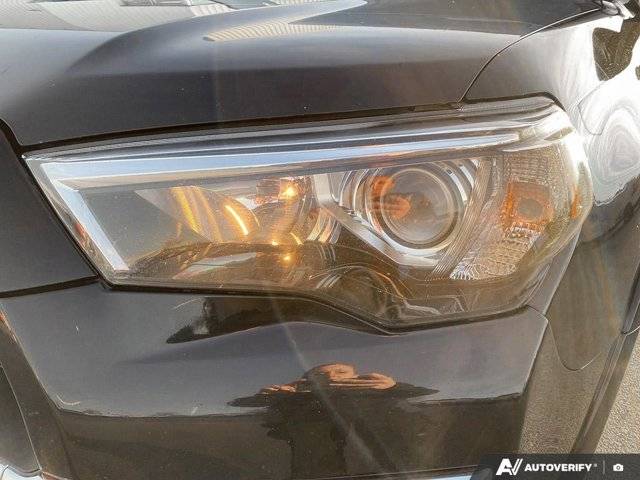 Image of Listing 48629