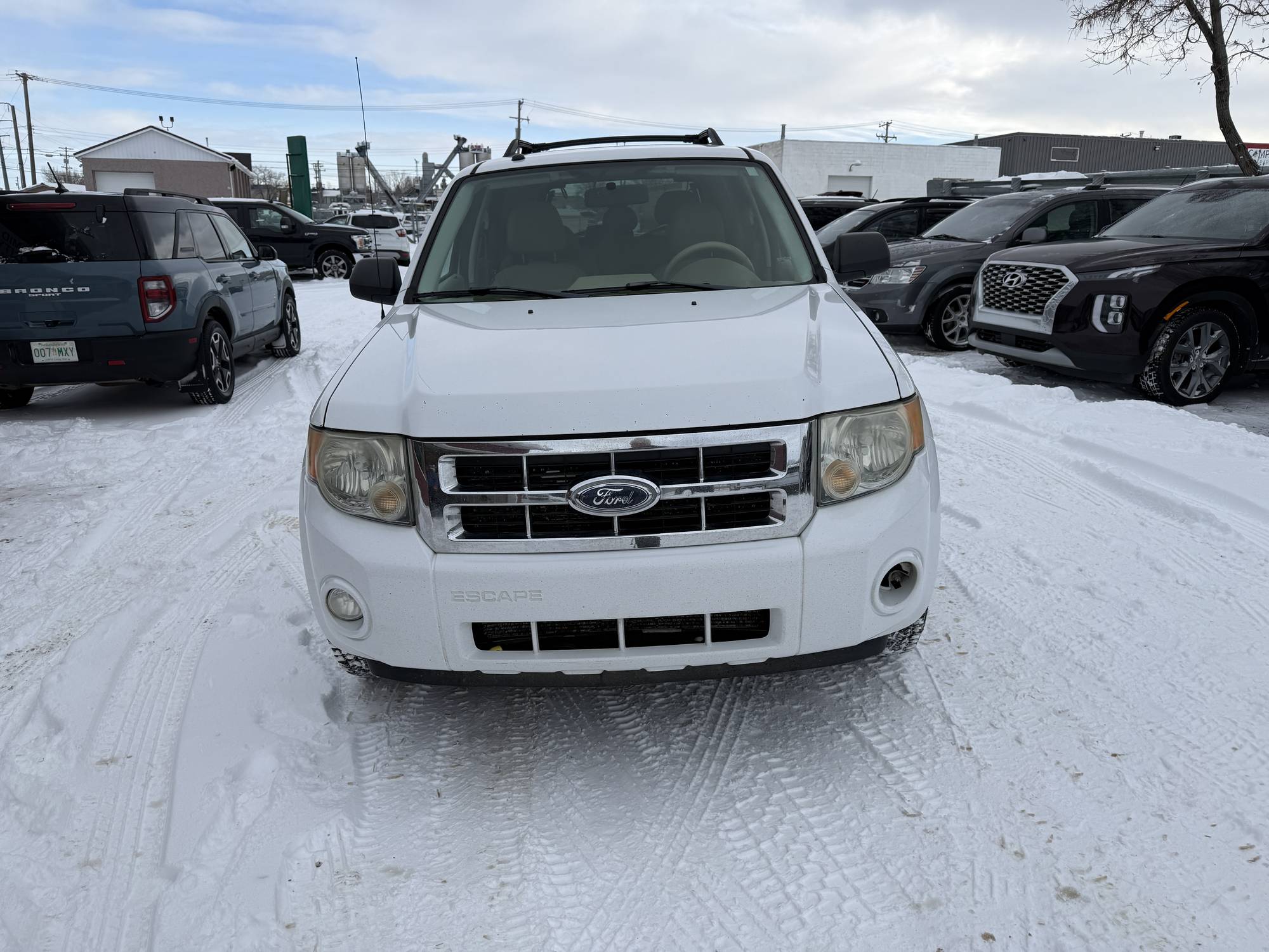 Image of Listing 49929