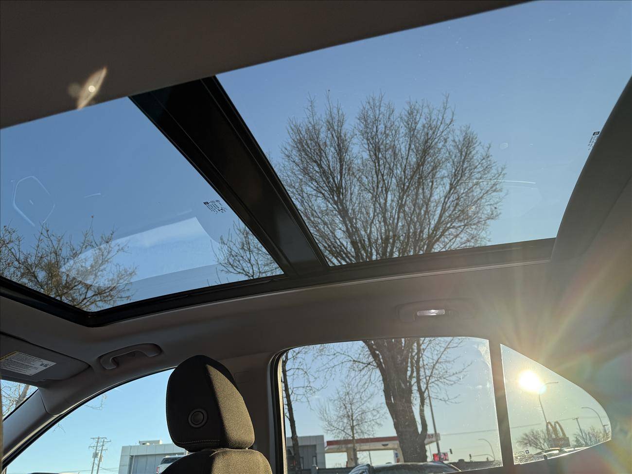 Image of Listing 50029