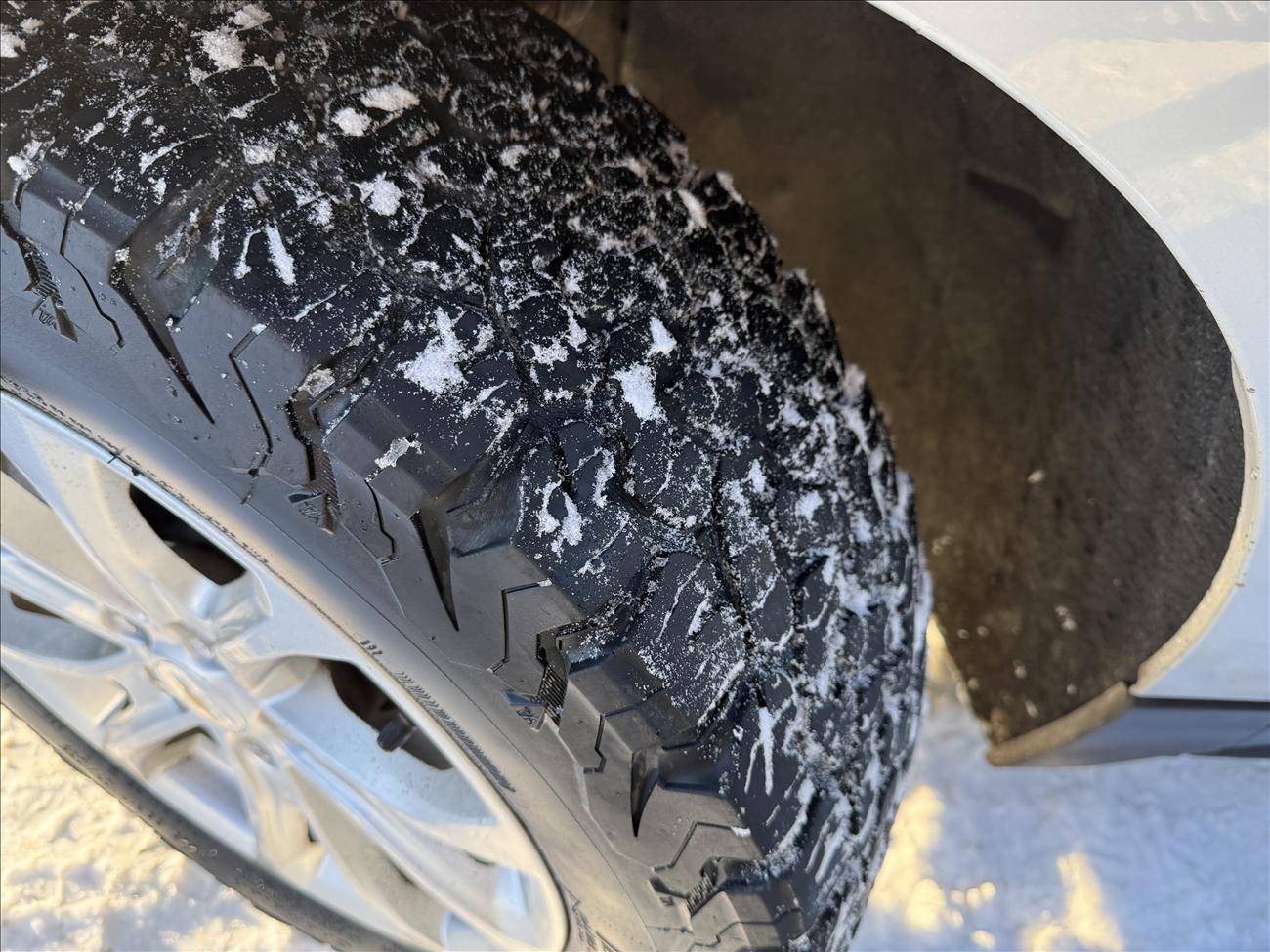 Image of Listing 50029