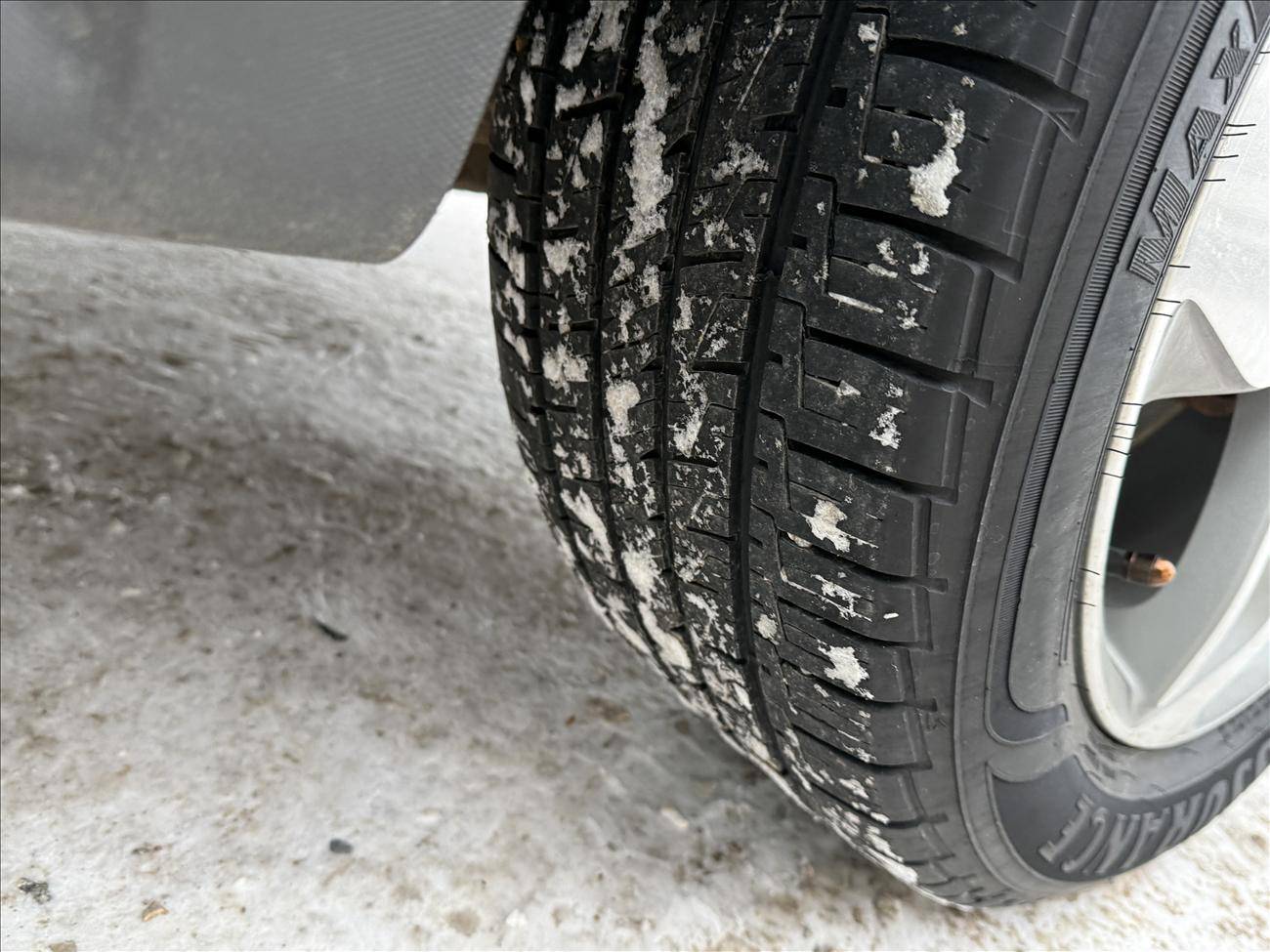 Image of Listing 50288