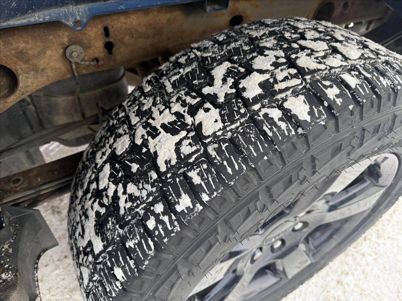 Image of Listing 50291