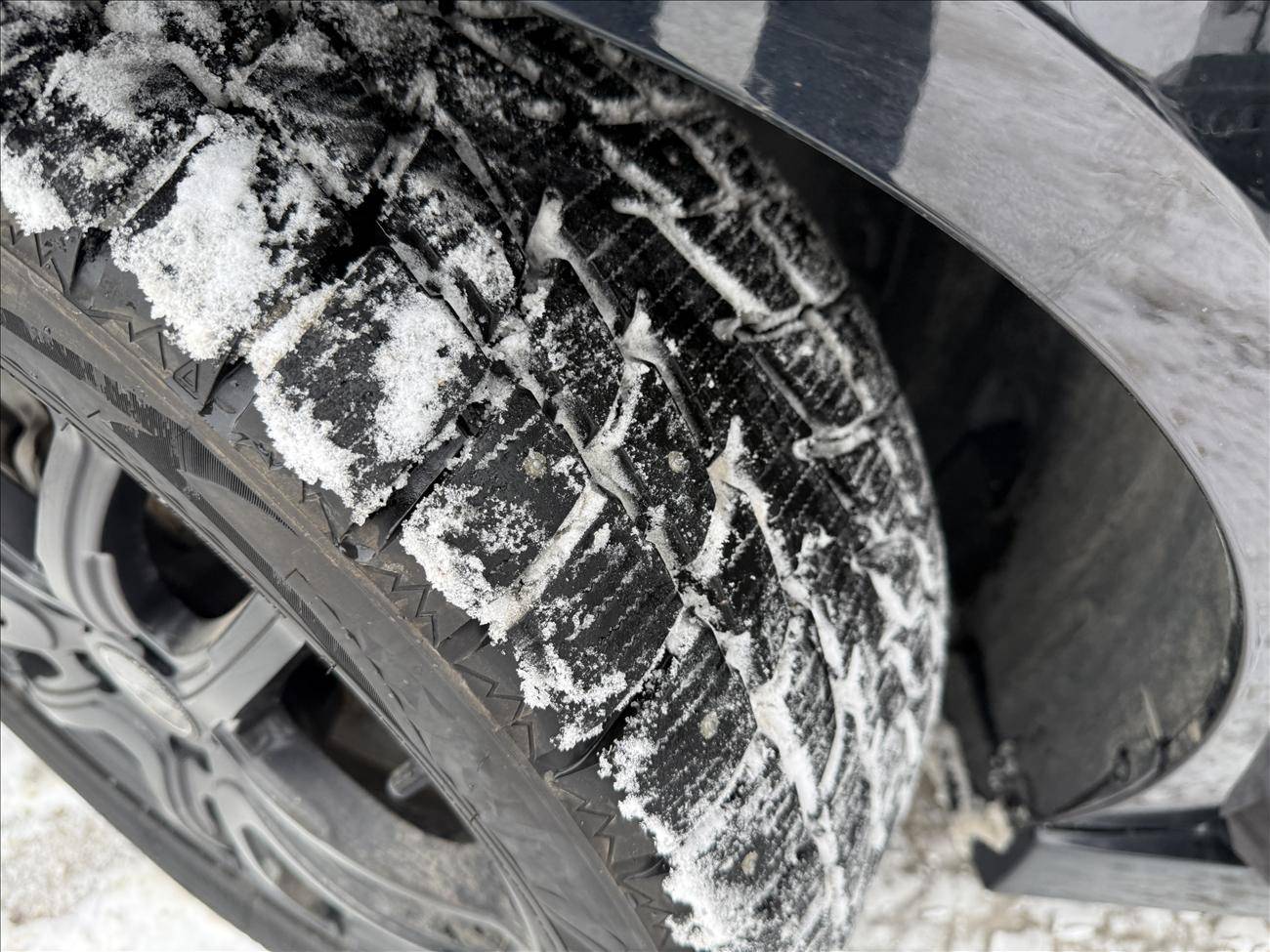 Image of Listing 50342