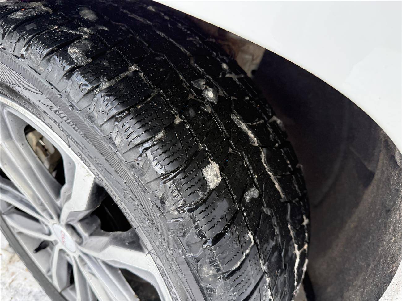 Image of Listing 50442