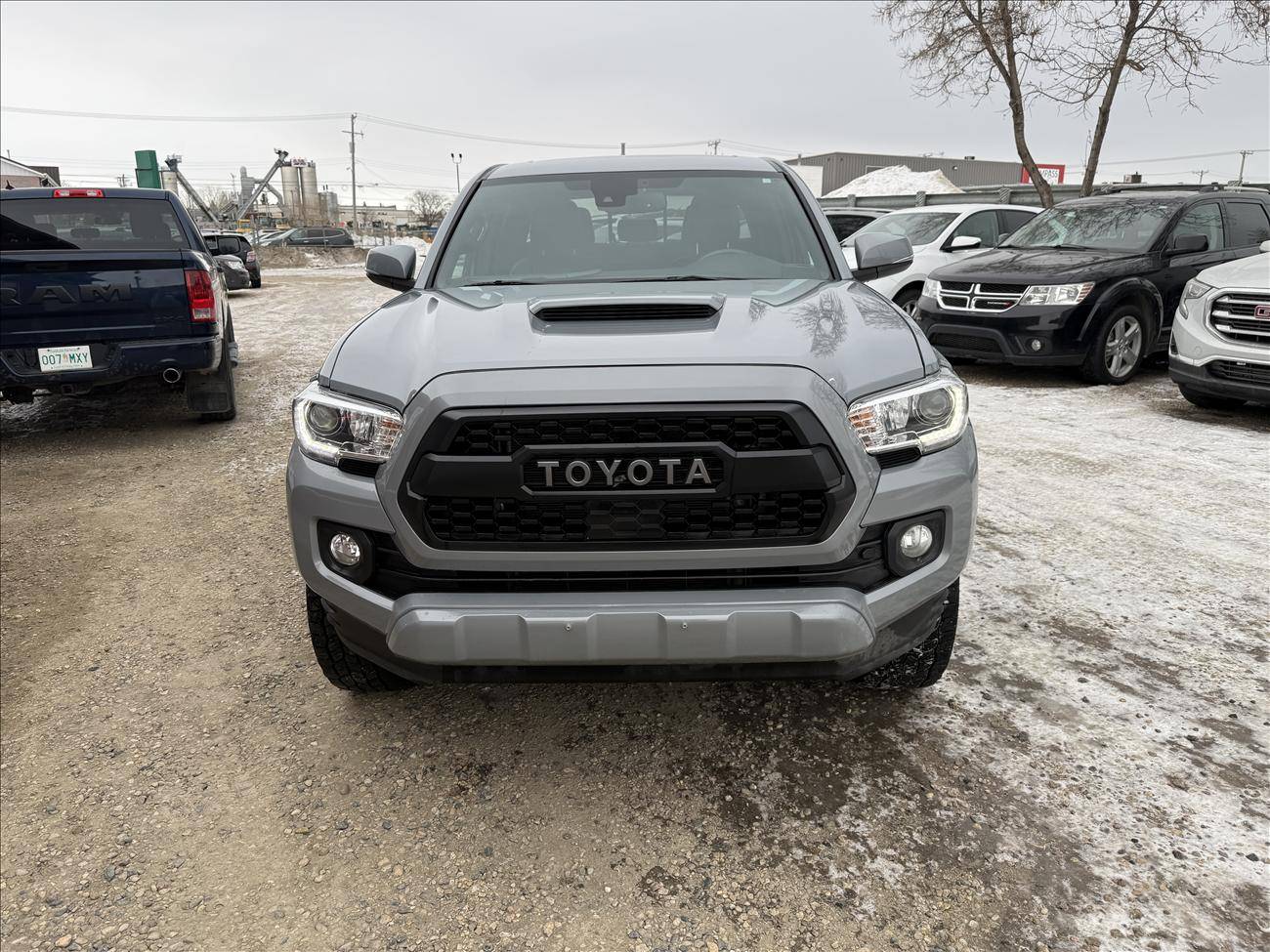 Image of Listing 50481