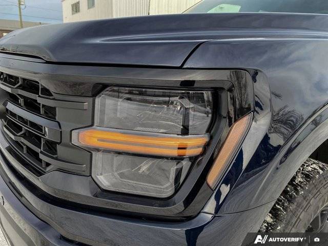 Image of Listing 50297