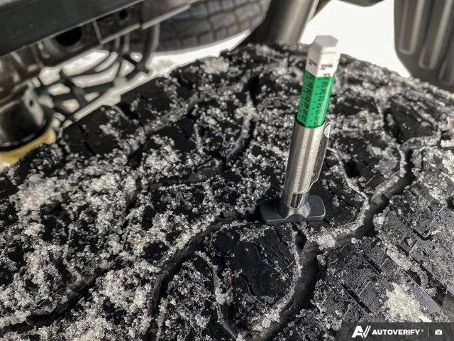 Image of Listing 50297