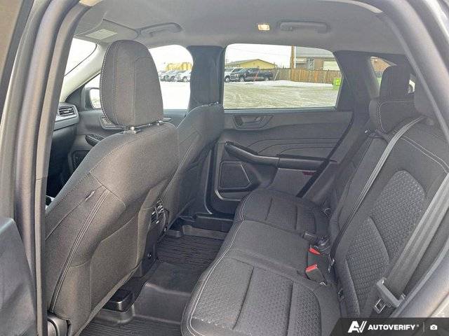 Image of Listing 50320