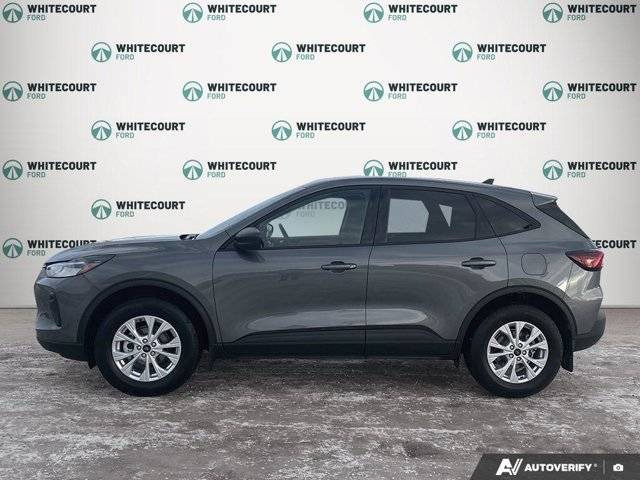 Image of Listing 50320