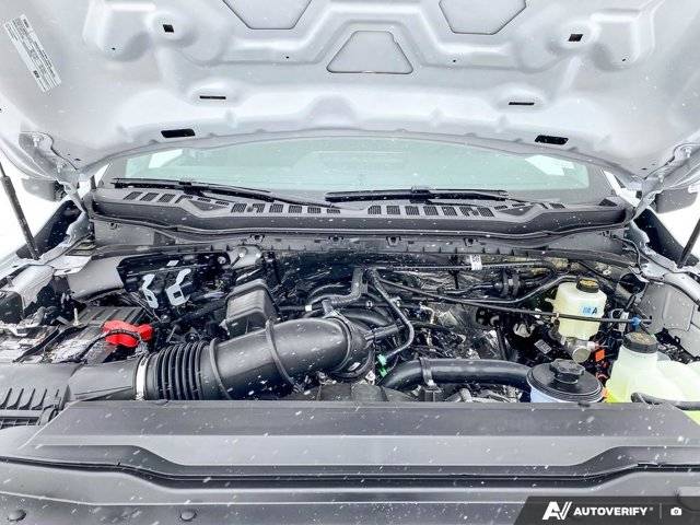 Image of Listing 50741