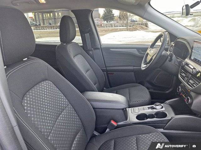 Image of Listing 50320