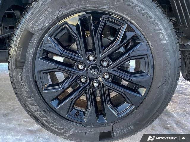 Image of Listing 49596