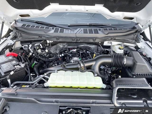 Image of Listing 49596