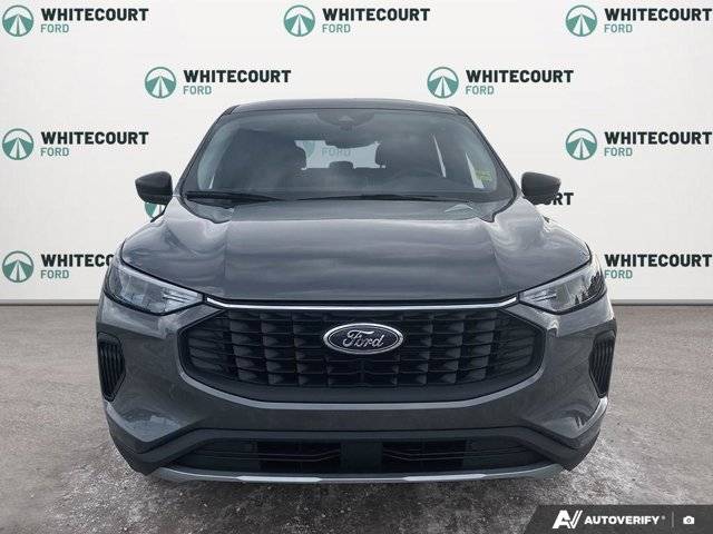 Image of Listing 50320