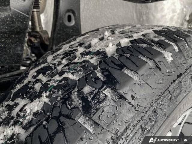 Image of Listing 50741