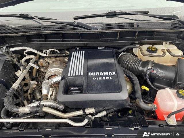 Image of Listing 50536