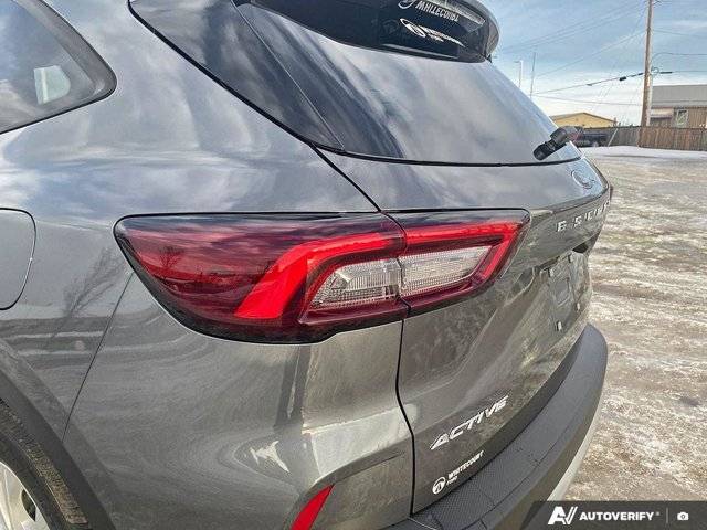 Image of Listing 50320