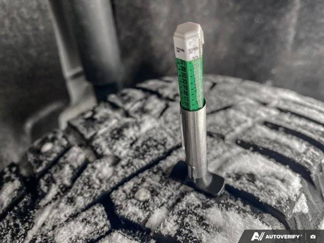 Image of Listing 50599