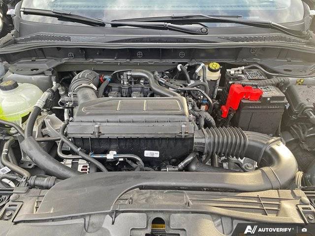 Image of Listing 50320