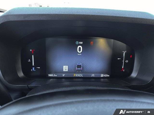 Image of Listing 50553