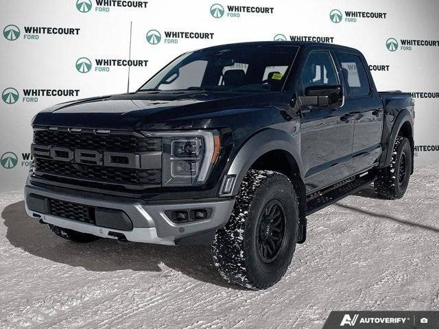 Primary image of listing 50432