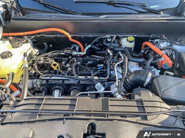 Image of Listing 49893