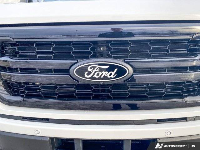 Image of Listing 49894