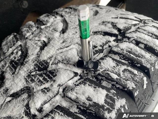 Image of Listing 50536