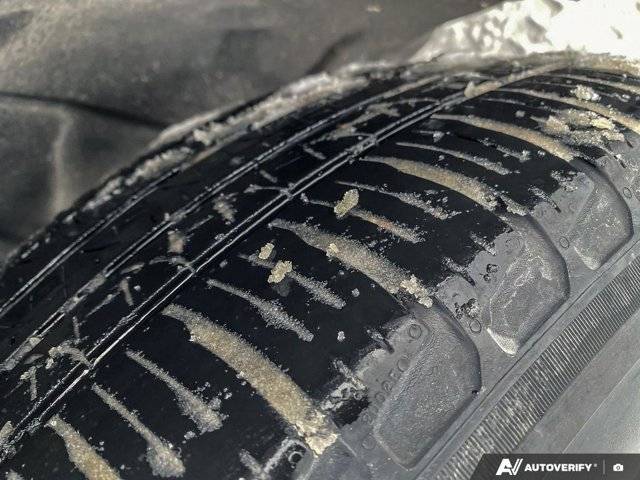 Image of Listing 50060