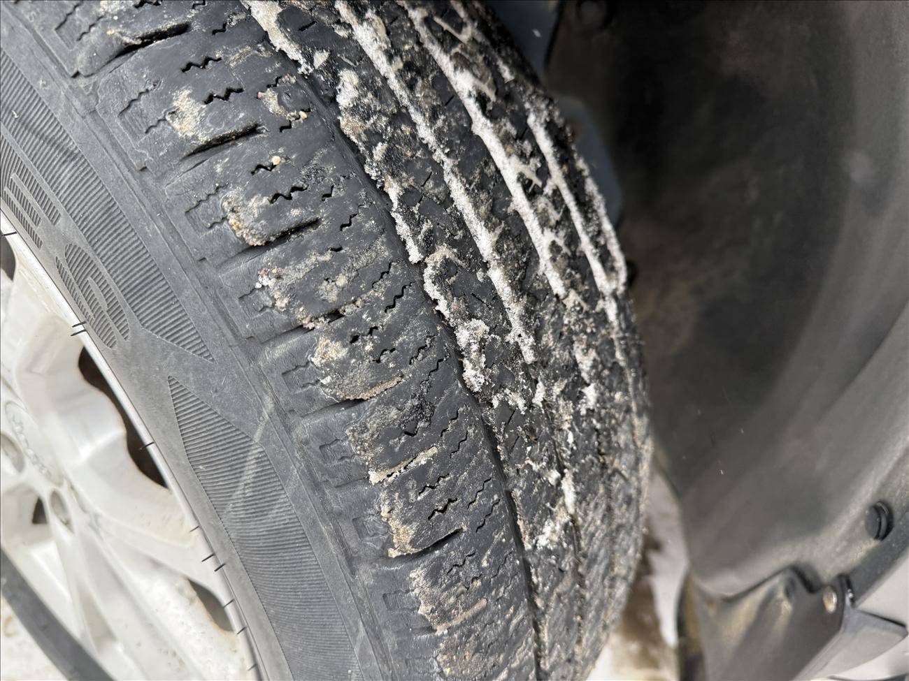 Image of Listing 50651