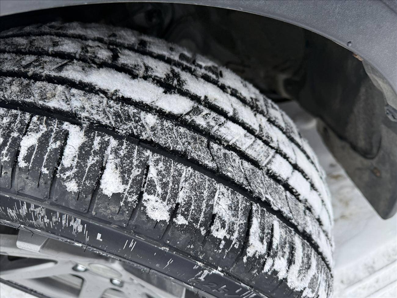 Image of Listing 50658